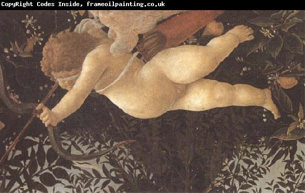 Sandro Botticelli Detail of Cupid with eyes bandaged,shooting an arrow at Chastity